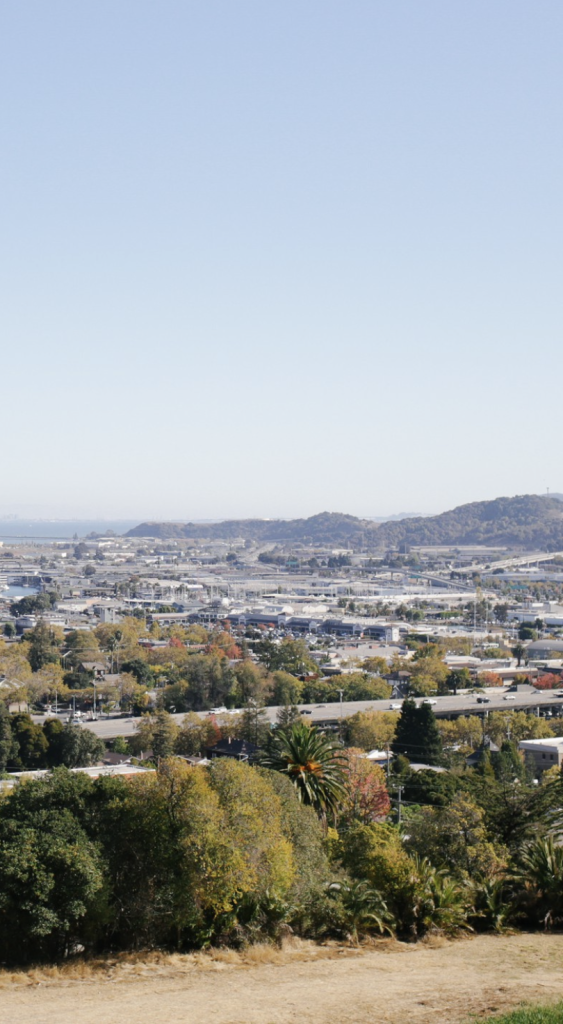 View from San Rafael Hill